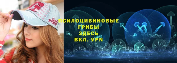 метадон Пересвет