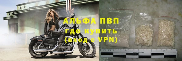 сатива Пестово
