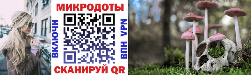 Псилоцибиновые грибы мицелий Купить где Зеленокумск